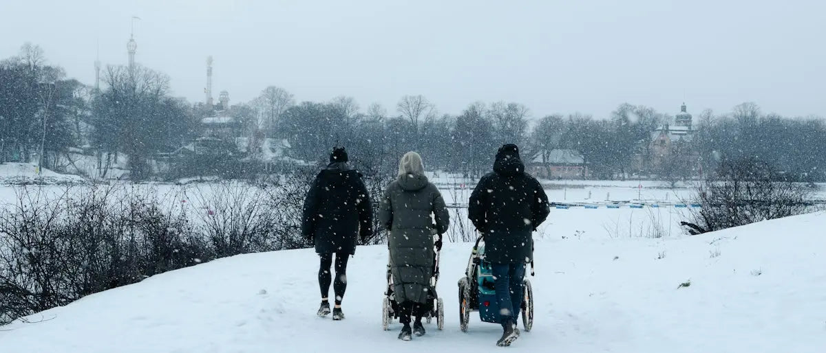 Three people walk in a snowy landscape, pushing strollers